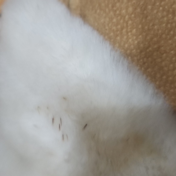 Vtg Gallery Leather Women's Tan Shearling Jacket Size XS - Picture 7 of 7